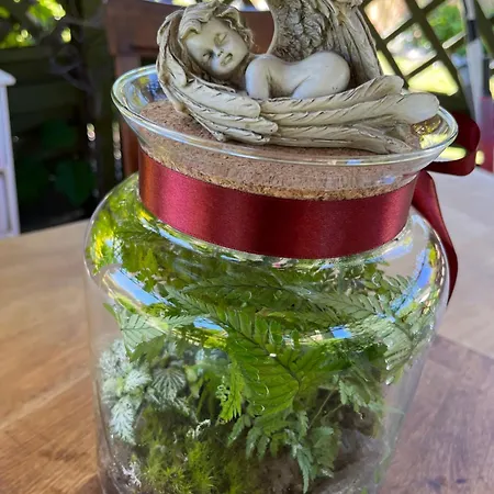 Pod Aniolami * Dąbki