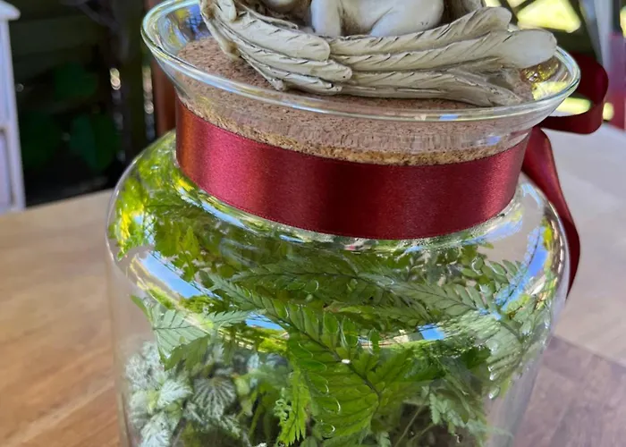 Pod Aniolami * Dąbki